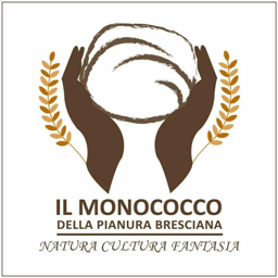 Pizzeria Il Monococco logo.
